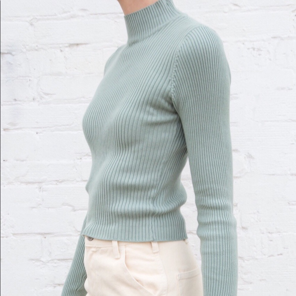 Brandy Melville Diana Turtleneck